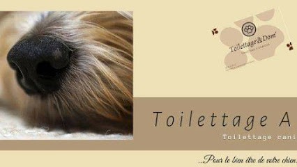 Toilettage A Dom', Toiletteur pour Animaux à Saint-Baudelle
