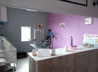 AU BIEN ETRE CANIN, Toiletteur pour Animaux à Malincourt