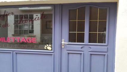 L'Atelier De Pascale, Toiletteur pour Animaux à Villemur-sur-Tarn