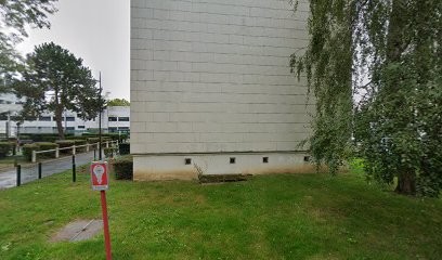 Plocoste Franck, Toiletteur pour Animaux à Massy