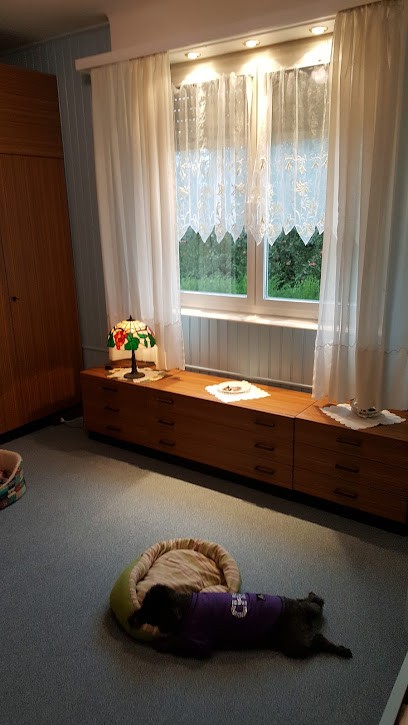 Salon Bel Ami De Stéphanie, Toiletteur pour Animaux à Hirsingue