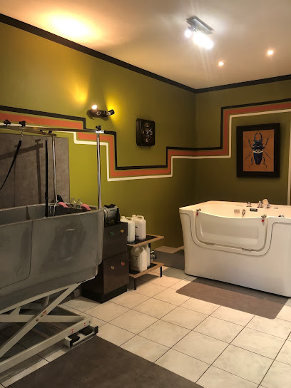 Mks Centre De Toilettage Et Soins Esthétiques, Canin Et Félin. Toiletteur Pour Animaux à Castres