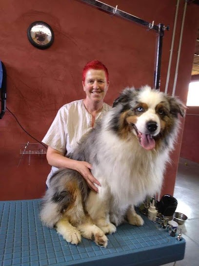 Toutous Soins Toilleteur Mittelbronn Phalsbourg, Toiletteur pour Animaux à Mittelbronn