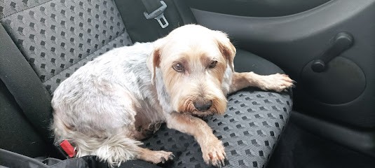 Lux Kautzmann Carine Mireille, Toiletteur pour Animaux à Soultz-sous-Forêts