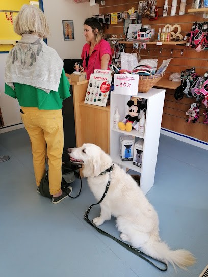 Bocabo, Toiletteur pour Animaux à Quiberon