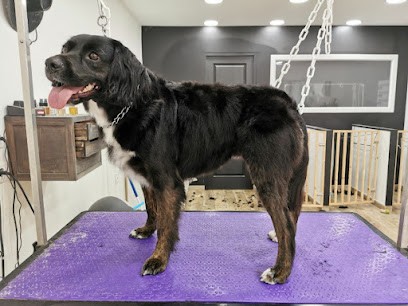 Lucky Look Toilettage, Toiletteur pour Animaux à Nielles-lès-Ardres