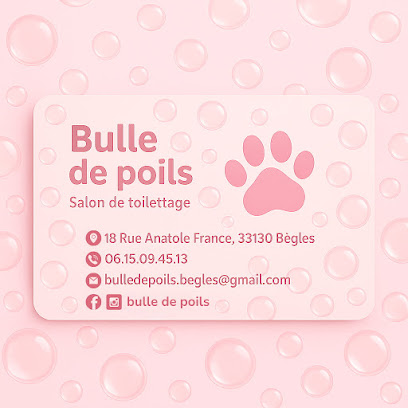 Bulle De Poils Toiletteur Pour Animaux à Bègles