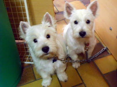 SARL ESPACE CHIENS, Toiletteur pour Animaux à Saint-Jean-de-Braye