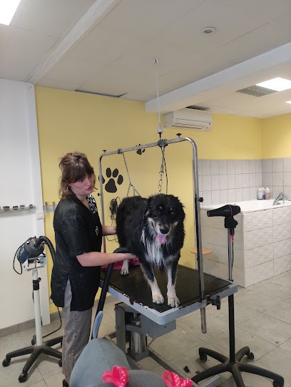 Nom D'un Poil, Toiletteur pour Animaux à Maulévrier