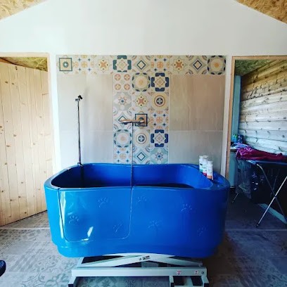 Chez Marion toilettage, Toiletteur pour Animaux à Caraman