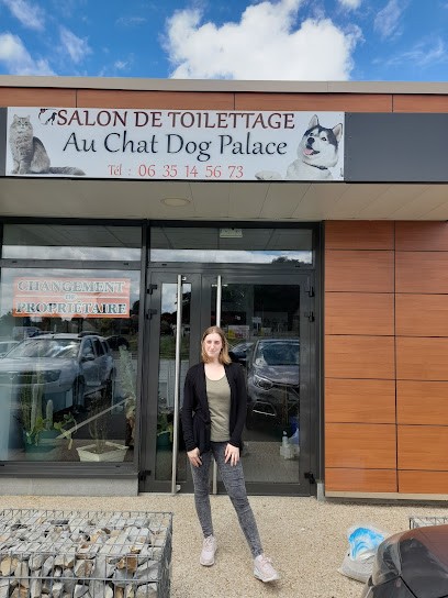 Au Chat Dog Palace, Toiletteur pour Animaux à Tôtes