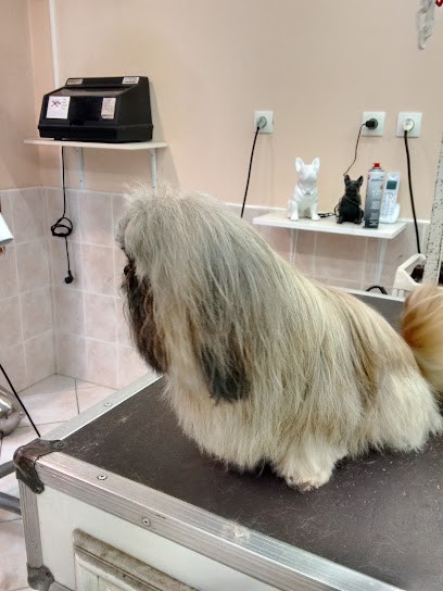 Au Toutou Bichonné, Toiletteur pour Animaux à Vic-en-Bigorre