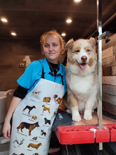 Les P'tites Pattounes - Camion De Toilettage, Toiletteur pour Animaux à Mauges-sur-Loire