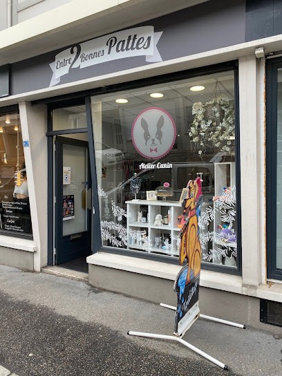 Entre 2 Bonnes Pattes, Toiletteur pour Animaux au Havre