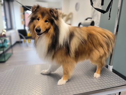 K'rol Toilettage, Toiletteur Pour Animaux à la Couture