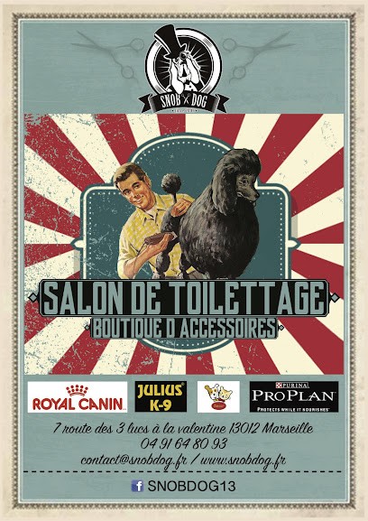Snob Dog Marseille, Toiletteur pour Animaux à Marseille 12