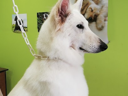 PIL'POILS : toilettage pour chiens, Toiletteur pour Animaux à Charly-sur-Marne