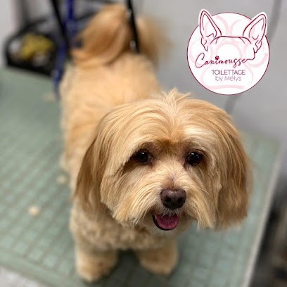 Canimousse, Toiletteur pour Animaux à Saint-Andiol