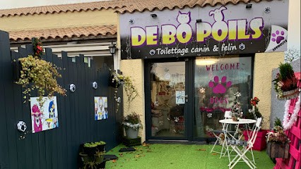 DE BO POILS, Salon De Toilettage Chiens Et Chats, Toiletteur pour Animaux à Nieul-le-Dolent