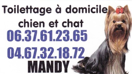 À domicile toilettage chien et chat, Toiletteur pour Animaux à Cers