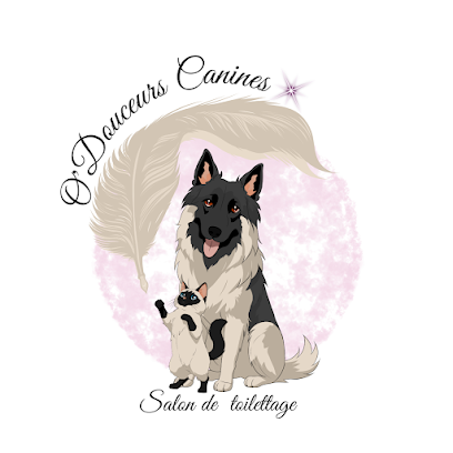 O' Douceurs Canines, Toiletteur Pour Animaux à Soignolles-en-Brie