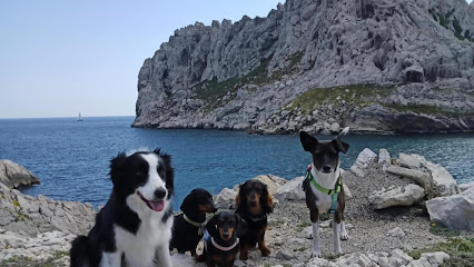 Ozzy & Co Toiletteur Pour Animaux à Istres