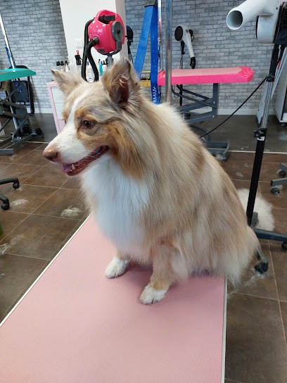 Adorable Pause - Toilettage à Domicile, Toiletteur pour Animaux à Vitry-en-Perthois