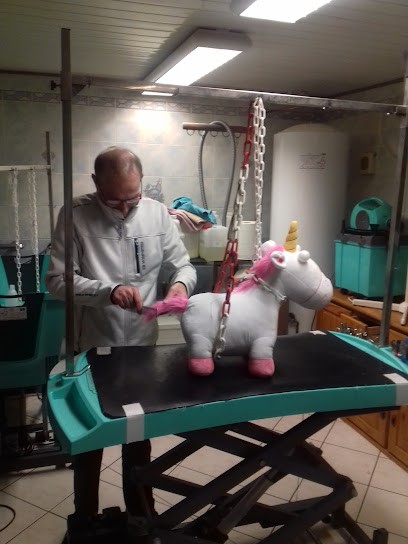 Beauté Canine, Toiletteur pour Animaux à Verdun