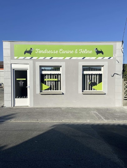 Tendresse Canine, Toiletteur pour Animaux à Pont-à-Vendin