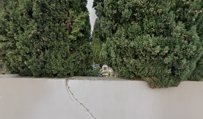 Toilettage à Domicile Drôme Ardèche Pierrelatte Montélimar Bourg St Andéol..., Toiletteur pour Animaux à Saint-Montan