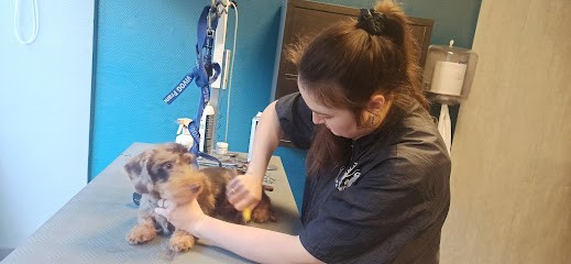 Marie Charlotte Olivia Ketty, Toiletteur pour Animaux à Orbec