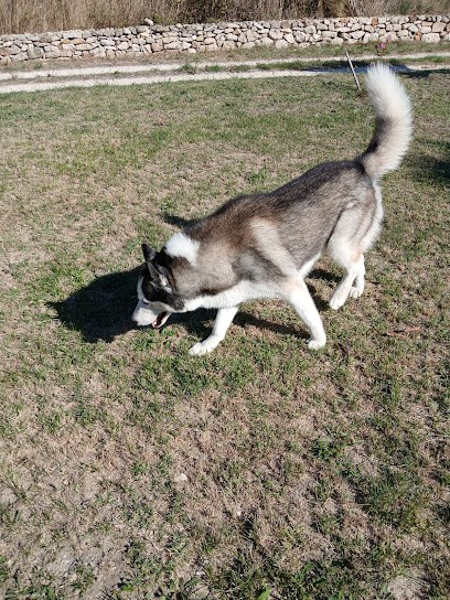 SALON TOILETTAGE 302 En Activité Depuis 2022, Toiletteur pour Animaux à Martigues