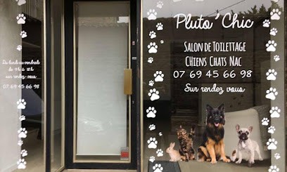 Au Paradis d'Ophélie, Toiletteur pour Animaux à Mornant