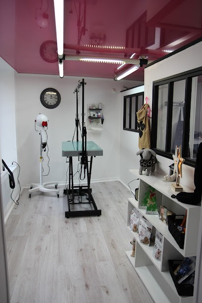 C' au Poil, Toiletteur pour Animaux à Ennery