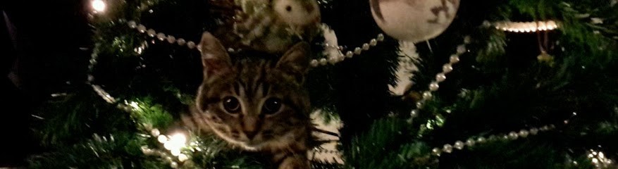 Beauty Dog, Toiletteur pour Animaux à La Flèche