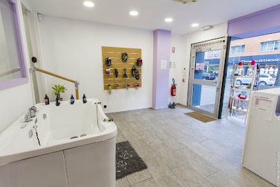 Poils O Papattes, Toiletteur pour Animaux à Saint-Louis