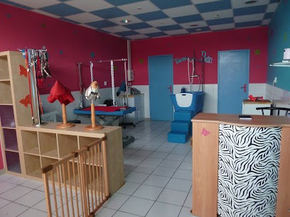 Choupicop ( Anciennement Doggymousse), Toiletteur pour Animaux à Libercourt