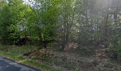 Barraud-Trillot Patricia, Toiletteur pour Animaux à Sylvains-Lès-Moulins