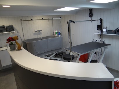 AU CHIEN CHIC, Toiletteur pour Animaux à Quiberon