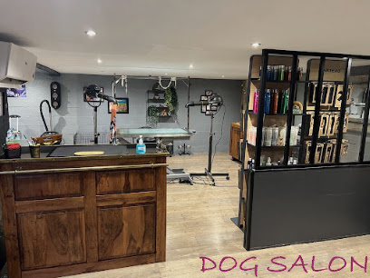 Dog Salon Toiletteur Pour Animaux à Dunkerque
