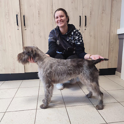 Tata Kwaff Toilettage Toiletteur Pour Animaux à Brest