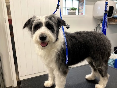 O’Bien être Du Chien, Toiletteur pour Animaux à Marchiennes