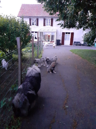 Toilettage À Domicile Et Elevage D'eurasier Toiletteur Pour Animaux à Montmorillon