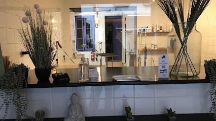 Cani'Style, Toiletteur pour Animaux à Meaux