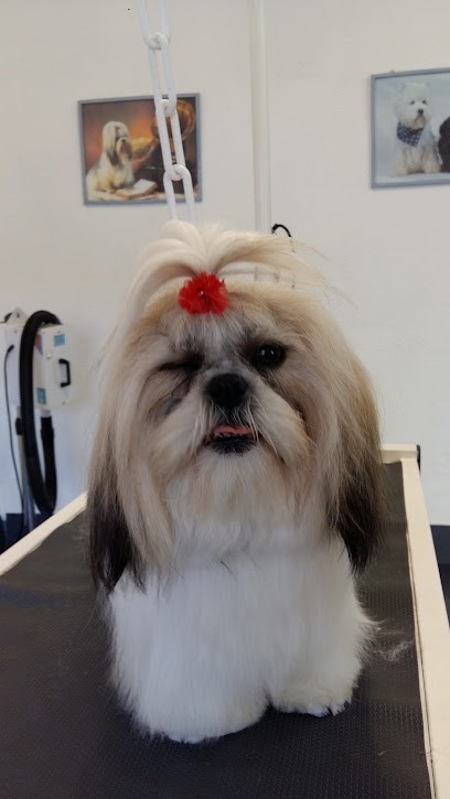 Toilettage Fripouille, Toiletteur pour Animaux à Miramas