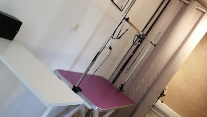 Amour des Chiens, Toiletteur pour Animaux au Fleix