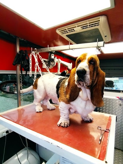 BeautyDog Toilettage à Domicile, Toiletteur pour Animaux à Vaison-la-Romaine