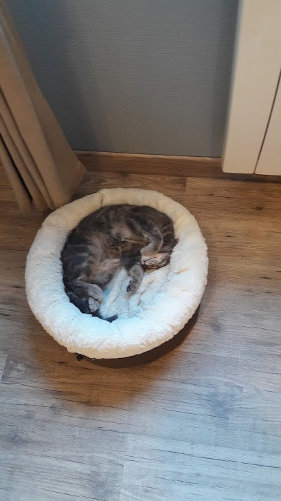 MADAME JULIE GUEVILLE, Toiletteur pour Animaux à Noyon