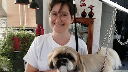 Dog & Bulles à domicile, Toiletteur pour Animaux à Rezé