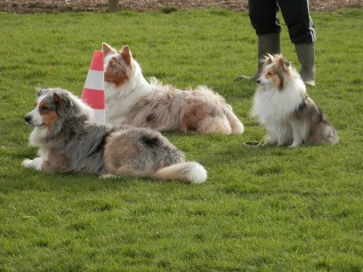 Workshop Du Chien Neptune, Toiletteur pour Animaux à Limésy